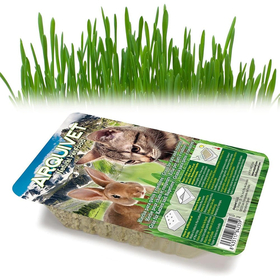 Arquivet Βρώσιμο Γρασίδι για Γάτες 100gr