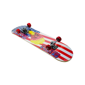 Mini Skateboard Type iii